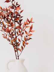 Decorative branch dry plant dark burgundy in white vase on white background