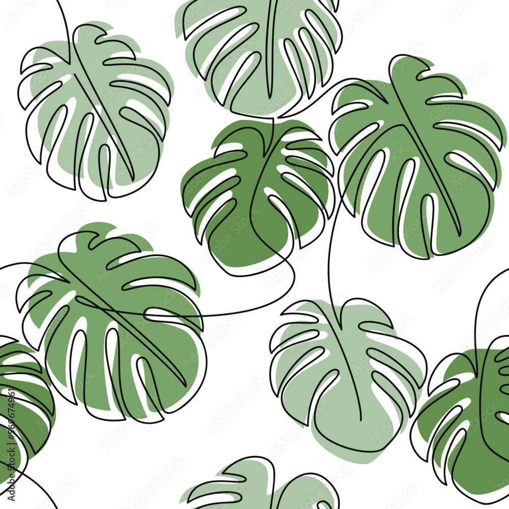 monstera deliciosa monkey leaf Monstera Adansonii 'Monkey Leaf' Medium main image 1