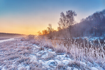 Wall Mural - Dawn on winter riverbank. Frost on grass, cane. Snowy rural road. January fog. Forest river sunrise. Cold Weather landscape, reflection in water.