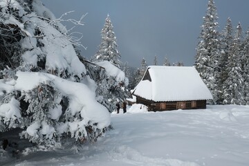 Poster - Amazing winter scenery of Tatra Mountains - Rusinowa Polana (Rusinowa Glade) with 
shepherd's huts, Tatra National Park, Poland