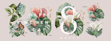 Floral Vector Watercolor Elements For 8 March Holiday, Happy Women's Day. Drawings Of Flowers, Plants And Leaves