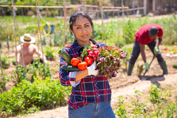 Wall Mural - Young woman gardener holding basket with harvest of fresh vegetables in rural