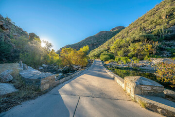 Wall Mural - Hiking trail pathway in Sabino Canyon along mountains on a beautiful sunny day. Peaceful landscape of an outdoor recreation area with nature scenery and blue sky.