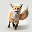 Cute happy fox running portrait white background