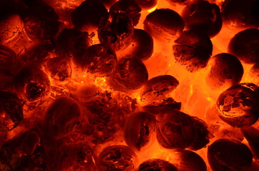 Poster - Bright orange graphic resource consists of burning walnuts.