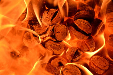 Poster - Walnuts are wrapped in flames as a background.