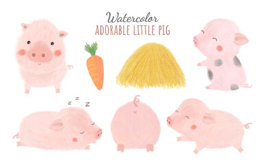 Watercolor baby pig illustration set. Cute hand drawn piglet in different poses. Domestic farm animal. Cute little pink  piggy isolated on white background