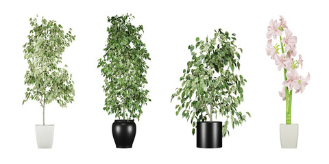 Wall Mural - Set of plant in a pot isolated on white background, 3d render illustration.