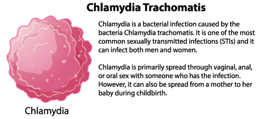 Wall Mural - chlamydia trachomatis with explanation