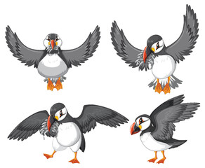 Wall Mural - set of puffin bird cartoon character in different poses