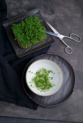 Wall Mural - Close-up of microgreens. Germination of microgreens. Germination of seeds at home. Vegan and healthy food concept. Germinated seeds, micro grasses. Growing sprouts.