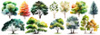 © ckybe - Watercolor trees collection. Set of hand drawn trees. Forest tree pack. Generative Ai.
