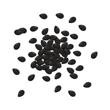 Vector illustration of black sesame seeds.