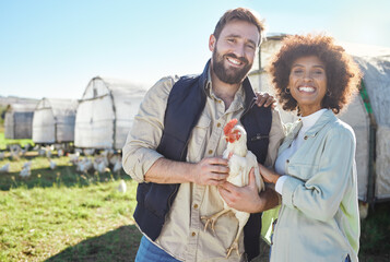 Wall Mural - Farmer couple, chicken and agriculture with animal on farm, portrait and poultry farming with organic free range product. Livestock, agro business and sustainability with people in protein industry