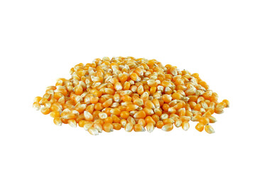 Wall Mural - Dried corn on  transparent png