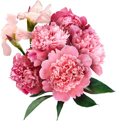 Wall Mural - Pink peony isolated on a transparent background. Png file.  Floral arrangement, bouquet of garden flowers. Can be used for invitations, greeting, wedding card.