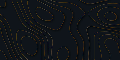 Poster - geometric papercut black luxury background with golden line elements, topography map concept. wavy c