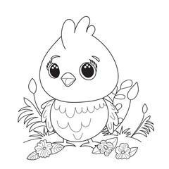 Wall Mural - chicken cartoon coloring book on white background vector