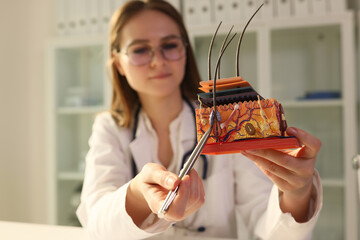 Young female dermatologist holds pen and anatomical model of human skin with hair.