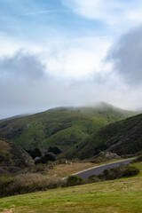 Wall Mural - Fog on the Hill of Bodega Bay California