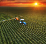 Fototapeta  - Aerial view of crop sprayer spraying pesticide on a soybean field at sunset, Drone shot flying over agricultural soybean field, tractor and crop sprayer protection plants against diseases and insects