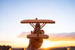 © Daniel - wooden airplane in the sunset sky ecological concept toy