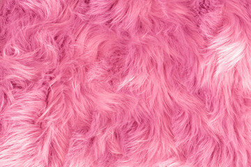 pink fur texture top view. pink sheepskin background. fur pattern. texture of pink shaggy fur. wool 