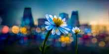 A Vivid Flower Capturing The Attention In The Foreground And A Bright Modern City Contrasting With The Calm Of Nature - A Colorful And Emotional Picture. Generative AI