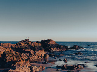 Sunset over sea with two seagulls standing on a rock in the distance