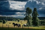 Horses graze in the open country against the background of fields, hills, forests and sky with large cumulus clouds, AI generated