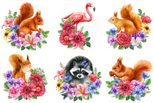 Set Animal. Squirrel , Raccoon, Flamingo And Wildflower On Isolated White Background. Hand Drawn Botanical Illustration