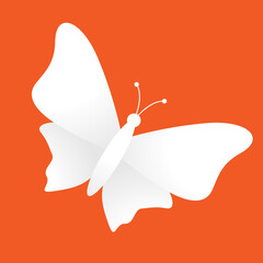 white butterfly on orange background