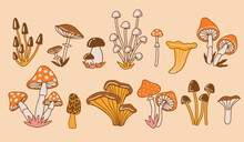 Mushrooms And Mushroom Farming. Mushroom Set Of Vector Illustrations. Forest And Nature