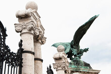 Statue Of Turul Bird, Budapest, Hungary