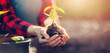 © candy1812 - Gardner holding in her hands a young sprout of vegetable.
