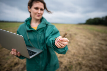 Aufkleber - A woman farmer with laptop holds an ear of wheat in her hand.	