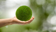 Grüner Graskugel in einer Hand vor grünem Hintergrund