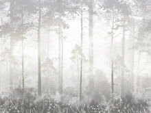 Misty Forest In The Fog Wallpaper Black And White