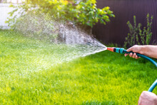 Gardener's Hand Holds A Hose With A Sprayer And Watering Grass