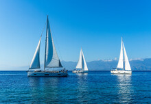 Sailing Yacht Boats With White Sails In Blue Sea , Seascape Of Beautiful Ships In Sea Gulf With Mountain Coast On Background