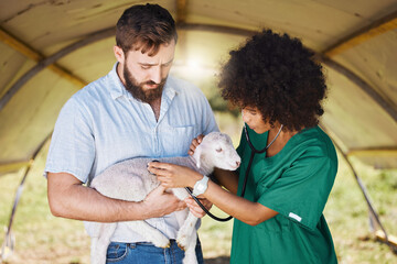 Farm, healthcare and veterinary team with lamb for checkup, health inspection and medical care. Farming, agriculture and black woman and man with stethoscope for animal consultation in countryside