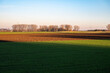 © Werner - Graan farmland and trees with a colorful sunset in winter around Tienen, Belgium
