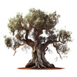 strange ancient tree on a transparent background for decorating projects. AI generator