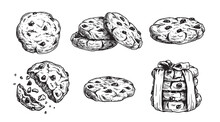 Hand Drawn Sketch Style Chocolate Chip Cookies Set. Single Whole And Crumbled Biscuits. Vintage Retro Ink Style Vector Illustrations. Best For Package And Menu Design. Isolated On White Background.
