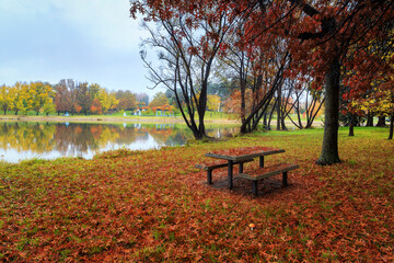 Picnic table in the park Canberra