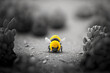 Cute yellow bee alone in a grey dull and withered world. bees getting extinct concept, generative AI