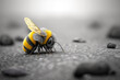 yellow bee alone in a grey dull and withered world. bees getting extinct concept, generative AI