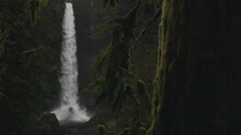 Fast Gushing Silver Falls Oregon Flowing Rain Forest Waterfall With Water Crashing At Bottom On Top Of Rock Under Dark Early Morning. Full View From A Distance Through Moss Trees. 