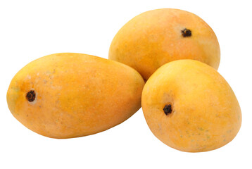 Sticker - Fresh Mangoes