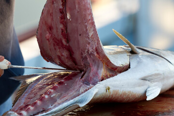 Gutted Fish Being Cleaned After A Morning Catch